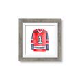 Picture of Hockey Jersey  _GroupedProduct_Square_Mini_ _GroupedProduct_Square_Framed_Matted_