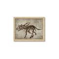 Picture of Dino Skeleton III _GroupedProduct_Rectangle_Landscape_Mini_ _GroupedProduct_Rectangle_Landscape_Framed_Matted_