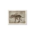 Picture of Dino Skeleton III _GroupedProduct_Rectangle_Landscape_Mini_ _GroupedProduct_Rectangle_Landscape_Framed_Matted_