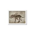 Picture of Dino Skeleton III _GroupedProduct_Rectangle_Landscape_Mini_ _GroupedProduct_Rectangle_Landscape_Framed_Matted_