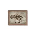 Picture of Dino Skeleton III _GroupedProduct_Rectangle_Landscape_Mini_ _GroupedProduct_Rectangle_Landscape_Framed_Matted_