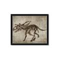 Picture of Dino Skeleton III _GroupedProduct_Rectangle_Landscape_Mini_ _GroupedProduct_Rectangle_Landscape_Framed_Matted_