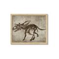 Picture of Dino Skeleton III _GroupedProduct_Rectangle_Landscape_Mini_ _GroupedProduct_Rectangle_Landscape_Framed_Matted_