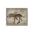 Picture of Dino Skeleton III _GroupedProduct_Rectangle_Landscape_Mini_ _GroupedProduct_Rectangle_Landscape_Framed_Matted_