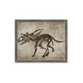 Picture of Dino Skeleton III _GroupedProduct_Rectangle_Landscape_Mini_ _GroupedProduct_Rectangle_Landscape_Framed_Matted_