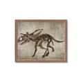 Picture of Dino Skeleton III _GroupedProduct_Rectangle_Landscape_Mini_ _GroupedProduct_Rectangle_Landscape_Framed_Matted_