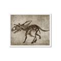 Picture of Dino Skeleton III _GroupedProduct_Rectangle_Landscape_Mini_ _GroupedProduct_Rectangle_Landscape_Framed_Matted_