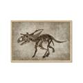 Picture of Dino Skeleton III _GroupedProduct_Rectangle_Landscape_Mini_ _GroupedProduct_Rectangle_Landscape_Framed_Matted_