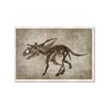 Picture of Dino Skeleton III _GroupedProduct_Rectangle_Landscape_Mini_ _GroupedProduct_Rectangle_Landscape_Framed_Matted_