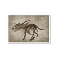 Picture of Dino Skeleton III _GroupedProduct_Rectangle_Landscape_Mini_ _GroupedProduct_Rectangle_Landscape_Framed_Matted_