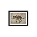 Picture of Dino Skeleton III _GroupedProduct_Rectangle_Landscape_Mini_ _GroupedProduct_Rectangle_Landscape_Framed_Matted_