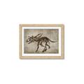 Picture of Dino Skeleton III _GroupedProduct_Rectangle_Landscape_Mini_ _GroupedProduct_Rectangle_Landscape_Framed_Matted_