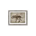 Picture of Dino Skeleton III _GroupedProduct_Rectangle_Landscape_Mini_ _GroupedProduct_Rectangle_Landscape_Framed_Matted_