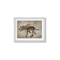 Picture of Dino Skeleton III _GroupedProduct_Rectangle_Landscape_Mini_ _GroupedProduct_Rectangle_Landscape_Framed_Matted_