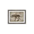 Picture of Dino Skeleton III _GroupedProduct_Rectangle_Landscape_Mini_ _GroupedProduct_Rectangle_Landscape_Framed_Matted_