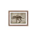 Picture of Dino Skeleton III _GroupedProduct_Rectangle_Landscape_Mini_ _GroupedProduct_Rectangle_Landscape_Framed_Matted_