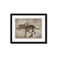 Picture of Dino Skeleton III _GroupedProduct_Rectangle_Landscape_Mini_ _GroupedProduct_Rectangle_Landscape_Framed_Matted_