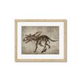 Picture of Dino Skeleton III _GroupedProduct_Rectangle_Landscape_Mini_ _GroupedProduct_Rectangle_Landscape_Framed_Matted_
