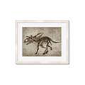Picture of Dino Skeleton III _GroupedProduct_Rectangle_Landscape_Mini_ _GroupedProduct_Rectangle_Landscape_Framed_Matted_