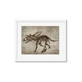 Picture of Dino Skeleton III _GroupedProduct_Rectangle_Landscape_Mini_ _GroupedProduct_Rectangle_Landscape_Framed_Matted_