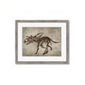 Picture of Dino Skeleton III _GroupedProduct_Rectangle_Landscape_Mini_ _GroupedProduct_Rectangle_Landscape_Framed_Matted_