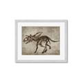 Picture of Dino Skeleton III _GroupedProduct_Rectangle_Landscape_Mini_ _GroupedProduct_Rectangle_Landscape_Framed_Matted_
