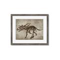 Picture of Dino Skeleton III _GroupedProduct_Rectangle_Landscape_Mini_ _GroupedProduct_Rectangle_Landscape_Framed_Matted_