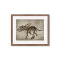 Picture of Dino Skeleton III _GroupedProduct_Rectangle_Landscape_Mini_ _GroupedProduct_Rectangle_Landscape_Framed_Matted_