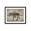 Picture of Dino Skeleton III _GroupedProduct_Rectangle_Landscape_Mini_ _GroupedProduct_Rectangle_Landscape_Framed_Matted_