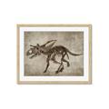 Picture of Dino Skeleton III _GroupedProduct_Rectangle_Landscape_Mini_ _GroupedProduct_Rectangle_Landscape_Framed_Matted_