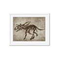 Picture of Dino Skeleton III _GroupedProduct_Rectangle_Landscape_Mini_ _GroupedProduct_Rectangle_Landscape_Framed_Matted_