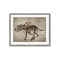 Picture of Dino Skeleton III _GroupedProduct_Rectangle_Landscape_Mini_ _GroupedProduct_Rectangle_Landscape_Framed_Matted_