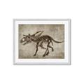 Picture of Dino Skeleton III _GroupedProduct_Rectangle_Landscape_Mini_ _GroupedProduct_Rectangle_Landscape_Framed_Matted_