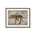 Picture of Dino Skeleton III _GroupedProduct_Rectangle_Landscape_Mini_ _GroupedProduct_Rectangle_Landscape_Framed_Matted_