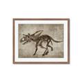 Picture of Dino Skeleton III _GroupedProduct_Rectangle_Landscape_Mini_ _GroupedProduct_Rectangle_Landscape_Framed_Matted_