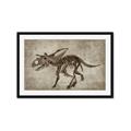 Picture of Dino Skeleton III _GroupedProduct_Rectangle_Landscape_Mini_ _GroupedProduct_Rectangle_Landscape_Framed_Matted_