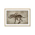 Picture of Dino Skeleton III _GroupedProduct_Rectangle_Landscape_Mini_ _GroupedProduct_Rectangle_Landscape_Framed_Matted_