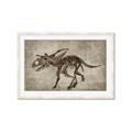 Picture of Dino Skeleton III _GroupedProduct_Rectangle_Landscape_Mini_ _GroupedProduct_Rectangle_Landscape_Framed_Matted_