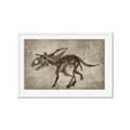 Picture of Dino Skeleton III _GroupedProduct_Rectangle_Landscape_Mini_ _GroupedProduct_Rectangle_Landscape_Framed_Matted_