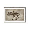 Picture of Dino Skeleton III _GroupedProduct_Rectangle_Landscape_Mini_ _GroupedProduct_Rectangle_Landscape_Framed_Matted_