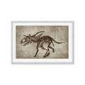 Picture of Dino Skeleton III _GroupedProduct_Rectangle_Landscape_Mini_ _GroupedProduct_Rectangle_Landscape_Framed_Matted_