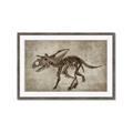 Picture of Dino Skeleton III _GroupedProduct_Rectangle_Landscape_Mini_ _GroupedProduct_Rectangle_Landscape_Framed_Matted_