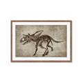 Picture of Dino Skeleton III _GroupedProduct_Rectangle_Landscape_Mini_ _GroupedProduct_Rectangle_Landscape_Framed_Matted_