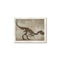 Picture of Dino Skeleton IV _GroupedProduct_Rectangle_Landscape_Mini_ _GroupedProduct_Rectangle_Landscape_Framed_Matted_