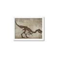 Picture of Dino Skeleton IV _GroupedProduct_Rectangle_Landscape_Mini_ _GroupedProduct_Rectangle_Landscape_Framed_Matted_