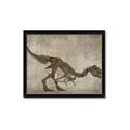 Picture of Dino Skeleton IV _GroupedProduct_Rectangle_Landscape_Mini_ _GroupedProduct_Rectangle_Landscape_Framed_Matted_