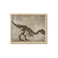 Picture of Dino Skeleton IV _GroupedProduct_Rectangle_Landscape_Mini_ _GroupedProduct_Rectangle_Landscape_Framed_Matted_