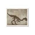 Picture of Dino Skeleton IV _GroupedProduct_Rectangle_Landscape_Mini_ _GroupedProduct_Rectangle_Landscape_Framed_Matted_