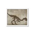 Picture of Dino Skeleton IV _GroupedProduct_Rectangle_Landscape_Mini_ _GroupedProduct_Rectangle_Landscape_Framed_Matted_