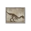 Picture of Dino Skeleton IV _GroupedProduct_Rectangle_Landscape_Mini_ _GroupedProduct_Rectangle_Landscape_Framed_Matted_